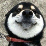 拉登是我干掉的