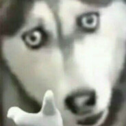 寝室长2 （BFV S5专薯）