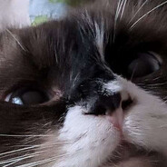 J@©k 0ff Inst®u©tions