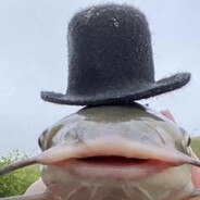 Mr.Fish Thy III
