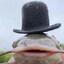 Mr.Fish Thy III