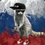 Raccoon CSGO500.com