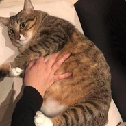 Big Avatar
