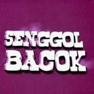 <font face="S3NGGOL"BACOK>