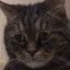 SIR_VATSON