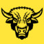 Yellow_Buffalo