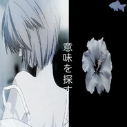 нарцис+макиавеллист+психопат