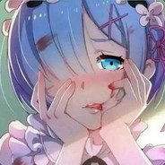 重新回归，菜成海龟