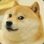 = WEB= Doge