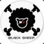 BlackSheep