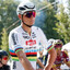 Van Der Poel