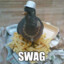 lowkey chillin swanky ass pigeon
