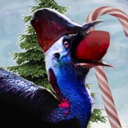 Cassowary27