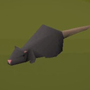 lvl 1 rat