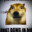 Scavenger boy avatar