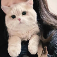 紧张的一个玉米