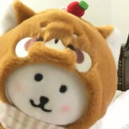 老蟑螂过马路被屎壳郎无证驾屎创飞