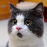 Big Avatar