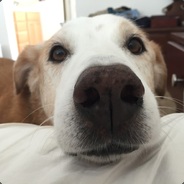 LockheedTristar - steam id 76561197970953840
