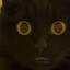 praviy tapok's avatar