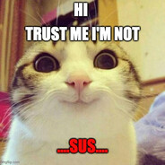 Not Sus Cat
