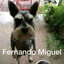 fernando_migas