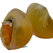 兜里还剩内裤钱