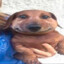 Skylin