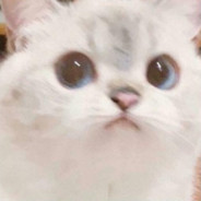 borubar
