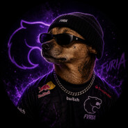 DOG DO HS