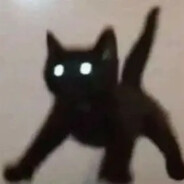 NUGAACAT