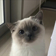 赛尔号麾下赛小息一名