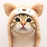 不是在送死就是在送死的路上