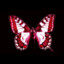 RedButterfly