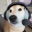 TheGoodestBoi