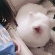 能力越大，地盘越大