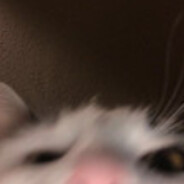lufwami