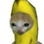 ALONΣ
