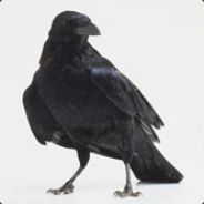 Sir Corvus - steam id 76561197964321885