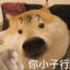 王风清