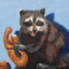 Raccoonistry
