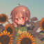 ccneko