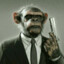 assassin monkey 1337 [LEETG4MER]