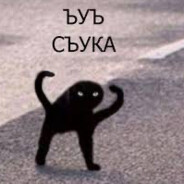 E16 avatar