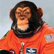 Space Monkey