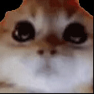 小兔崽子爱上小学