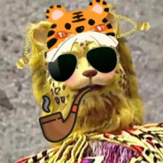 风暴点探店三人125