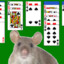 solitaire rat