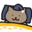 愿胖猫开开心心
