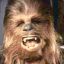Wookiee Smuggler
